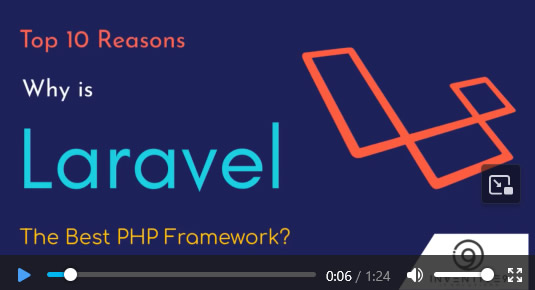 Laravel Portal Video