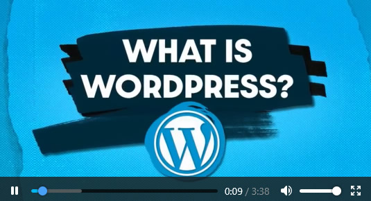 WordPress Development Video